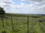 Vineyards